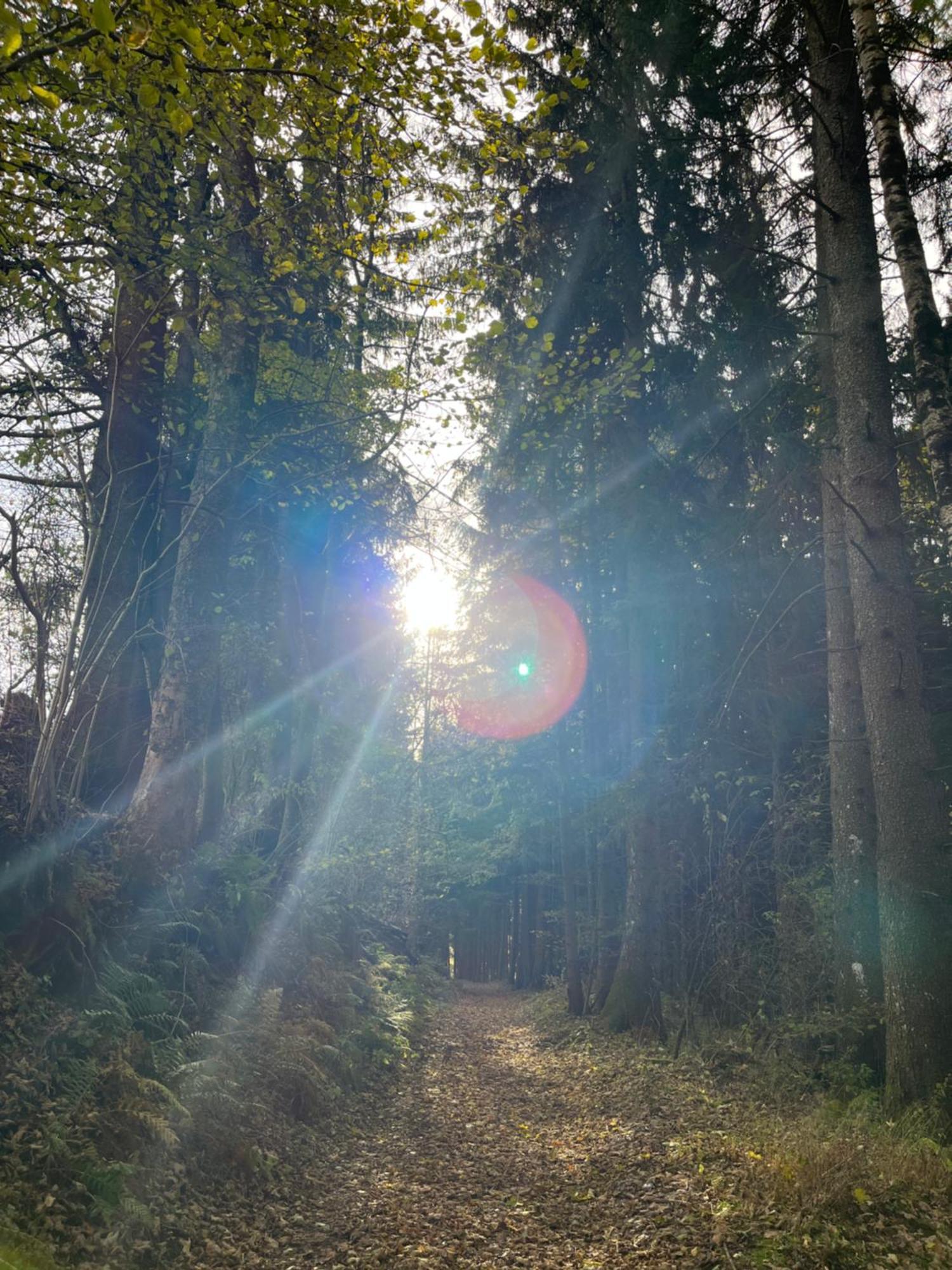 Fewo Löwenherz Seeboden am Millstätter See Exterior foto